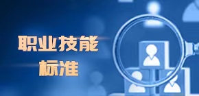 職業(yè)技能標(biāo)準(zhǔn)