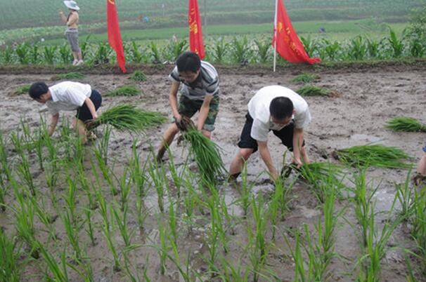重慶市合川區(qū)三支一扶：從“角色轉(zhuǎn)變”到“有位有為”