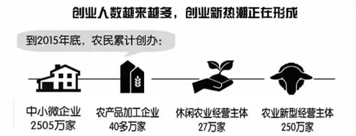 “80后”農(nóng)民工返鄉(xiāng)創(chuàng)業(yè)，有什么特點？