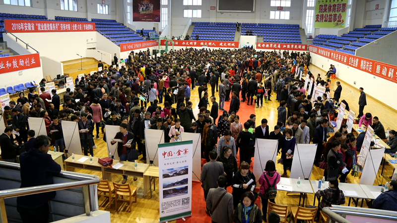 安徽省六安市“就業(yè)脫貧服務月”專場招聘會在金寨縣舉辦 