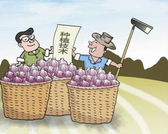 江西省高安市南門村返鄉(xiāng)創(chuàng)業(yè)促村民走上致富路