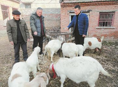 河南省商水縣鄧城鎮(zhèn)大學生村官幫貧困戶脫貧