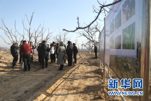 山西石樓：感受脫貧攻堅之“新”