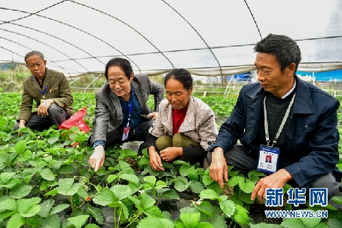 成都高新區(qū)：“互聯(lián)網(wǎng)+”助力精準扶貧 創(chuàng)新脫貧攻堅路徑