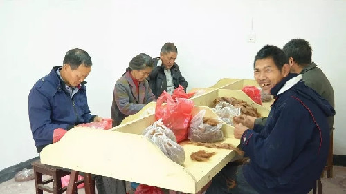 安徽績溪：就業(yè)扶貧驛站讓貧困戶家門口“有活干”