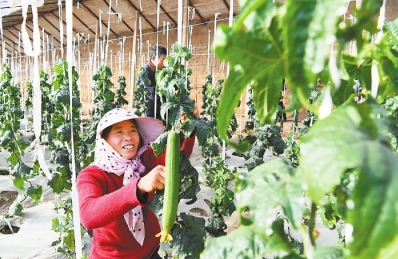 甘肅省壯大特色產(chǎn)業(yè)為精準(zhǔn)脫貧增添持續(xù)動(dòng)力