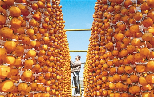 《扶貧藍(lán)皮書(shū)：中國(guó)扶貧開(kāi)發(fā)報(bào)告（2017）》發(fā)布——下大力氣啃下脫貧“硬骨頭”