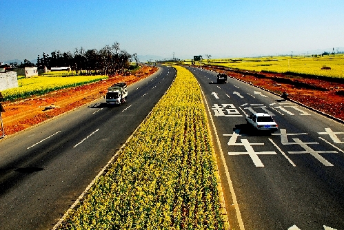云南羅平：脫貧攻堅(jiān)繪出農(nóng)村“新畫(huà)面” 