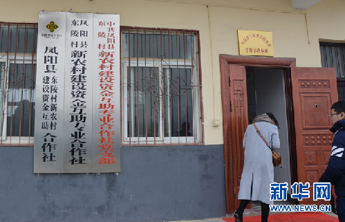 由'輸血'變'造血'--安徽鳳陽(yáng)東陵村產(chǎn)業(yè)扶貧見(jiàn)成效