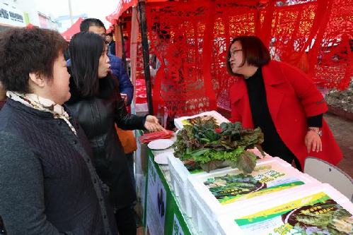 不忘初心 牢記使命 繼往開(kāi)來(lái) 再創(chuàng)輝煌——吉林省琿春市連續(xù)三年被評(píng)為省級(jí)農(nóng)村勞動(dòng)力轉(zhuǎn)移就業(yè)先進(jìn)縣