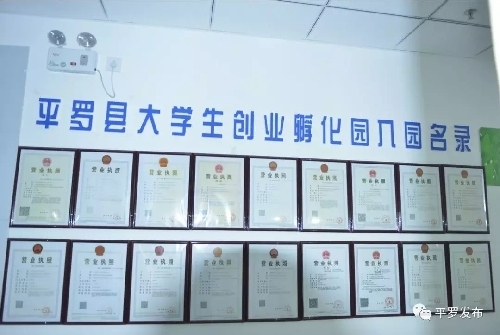 寧夏平羅縣大學(xué)生創(chuàng)業(yè)孵化園獲評(píng)自治區(qū)級(jí)創(chuàng)業(yè)孵化示范基地