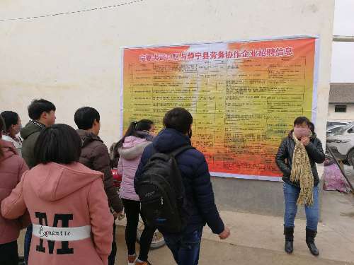 寧夏石嘴山：大武口靜寧聯(lián)合招聘鋪就返鄉(xiāng)人員“幸福底色”