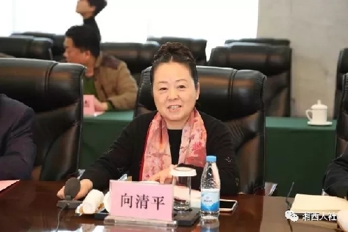 山東濟(jì)南：湘西州人民政府副州長向清平率隊(duì)到濟(jì)南市開展勞務(wù)協(xié)作對接工作