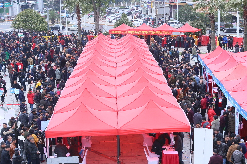 湖南省長沙市2018年“春風(fēng)行動”就業(yè)扶貧大型招聘會在瀏陽舉行