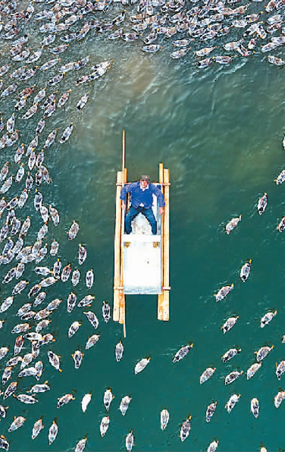 脫貧攻堅：硬仗必須打贏