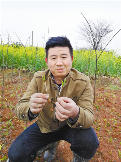 經(jīng)營“美麗事業(yè)”返鄉(xiāng)創(chuàng)業(yè)當農(nóng)民