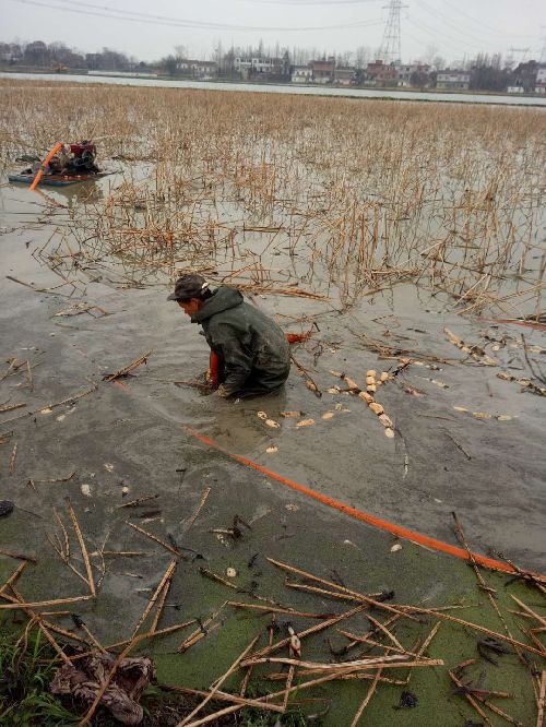 安徽廬江：扶貧車間進(jìn)村頭 脫貧致富不用愁