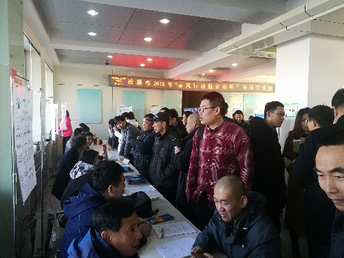 春風(fēng)行動(dòng)惠民生春風(fēng)服務(wù)暖人心——吉林省松原市“春風(fēng)行動(dòng)”脫貧攻堅(jiān)專場(chǎng)招聘會(huì)