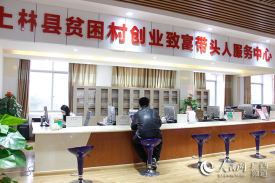 廣西：頭雁先飛眾雁隨 脫貧路上不掉隊(duì)