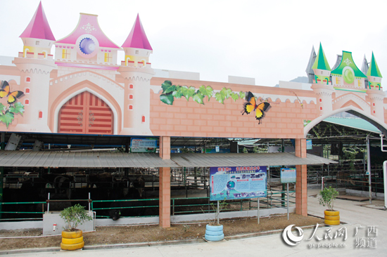 廣西：頭雁先飛眾雁隨 脫貧路上不掉隊(duì)