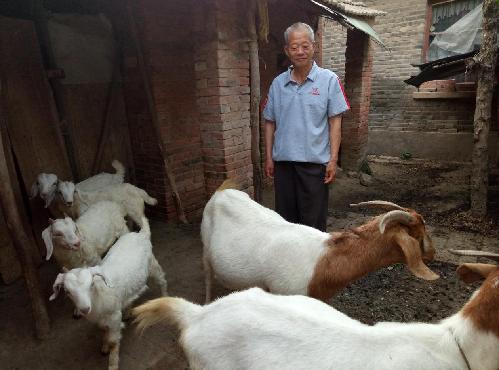 安徽界首：東城街道貧困戶脫貧典型王國(guó)義