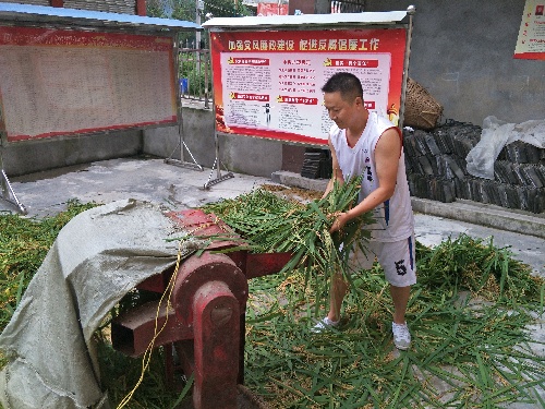 四川閬中：第一書記魏綱的三把火