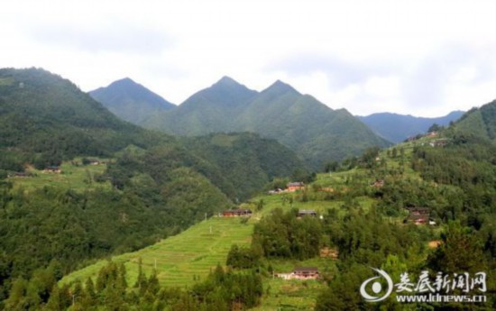 湖南:新化深山里的茶園 259戶貧困戶創(chuàng)業(yè)脫貧的“主戰(zhàn)場” 湖南:新化深山里的茶園 259戶貧困戶創(chuàng)業(yè)脫貧的“主戰(zhàn)場”