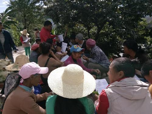 云南省南澗縣打好“四張牌”，轉(zhuǎn)出“新氣象”