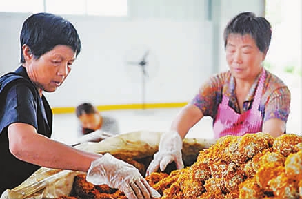 陜西省西鄉(xiāng)縣開辦社區(qū)工廠助力居民增收