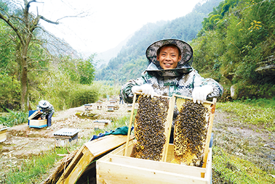 貴州赤水：大力培育農(nóng)村“技術(shù)能手”
