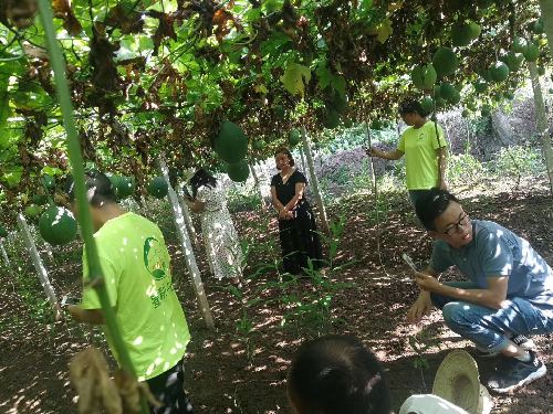 扶貧崗位送進(jìn)村 家門(mén)就業(yè)穩(wěn)脫貧——四川省廣安市產(chǎn)業(yè)+就業(yè)“兩業(yè)”聯(lián)動(dòng) 力促就業(yè)扶貧無(wú)死角