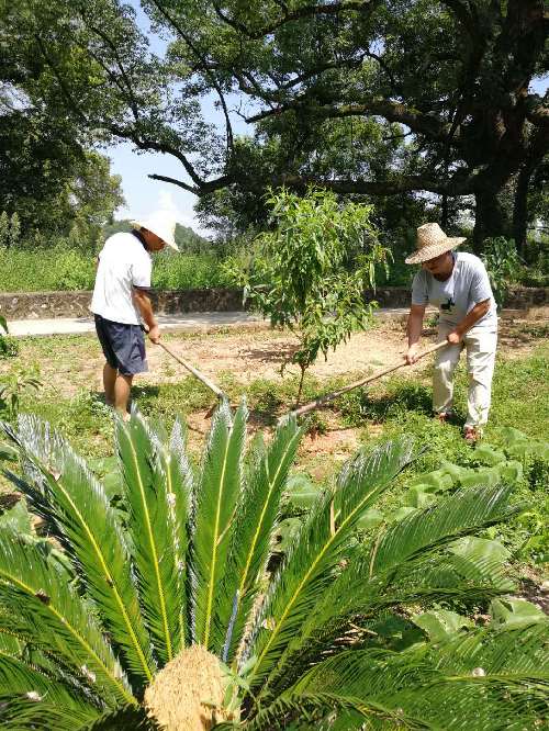 繡”好就業(yè)扶貧“花”——記江西省宜豐縣良田鋪村駐村第一書記熊仕睿