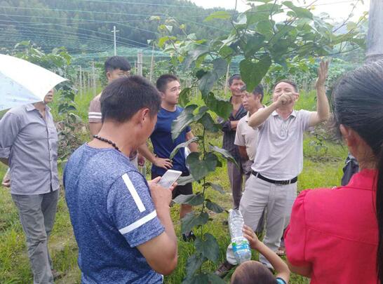 江西靖安：開展農(nóng)技培訓(xùn) 助推就業(yè)扶貧