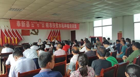 江西奉新：開展精準扶貧水稻種植培訓