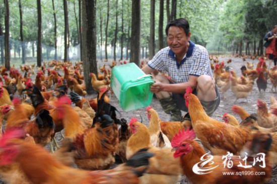 江蘇宿遷泗洪養(yǎng)殖戶張正波：退休后圓了創(chuàng)業(yè)夢