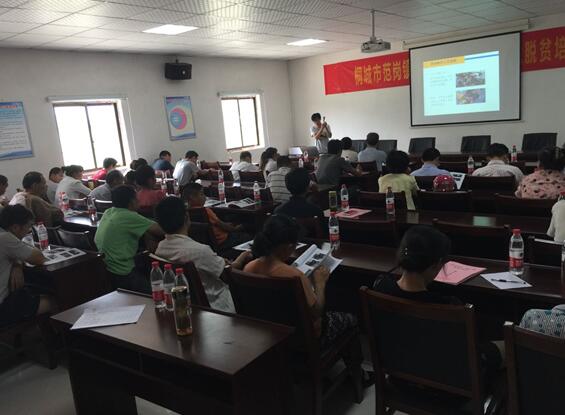 安徽桐城：就業(yè)技能培訓(xùn)讓貧困戶實(shí)現(xiàn)再就業(yè)