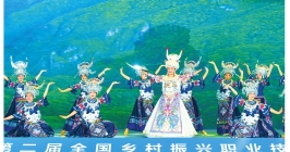 第二屆全國(guó)鄉(xiāng)村振興職業(yè)技能大賽閉幕