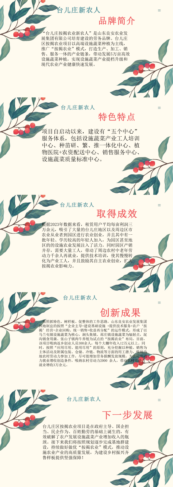 臺兒莊新農(nóng)人